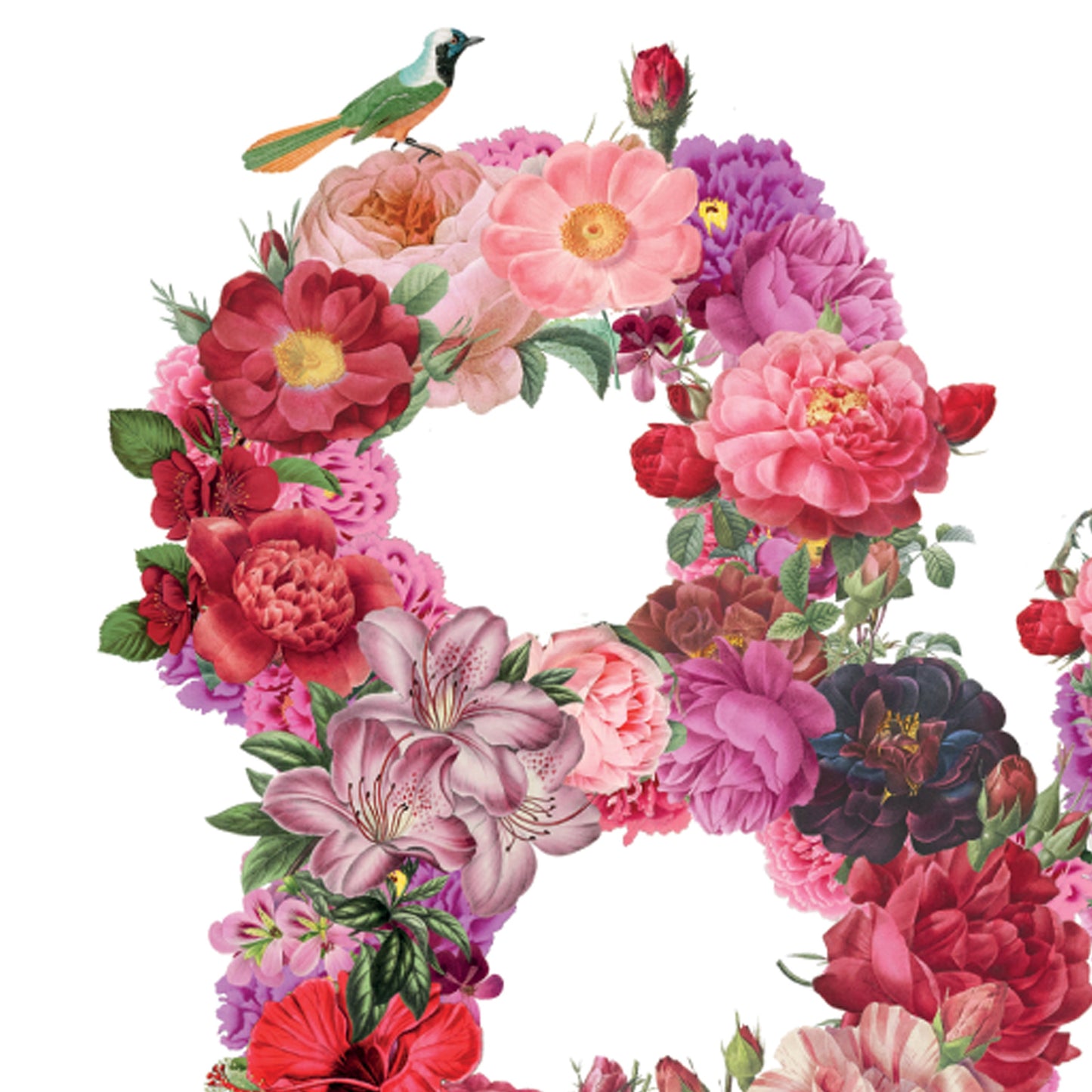 close up of red flowers and bird