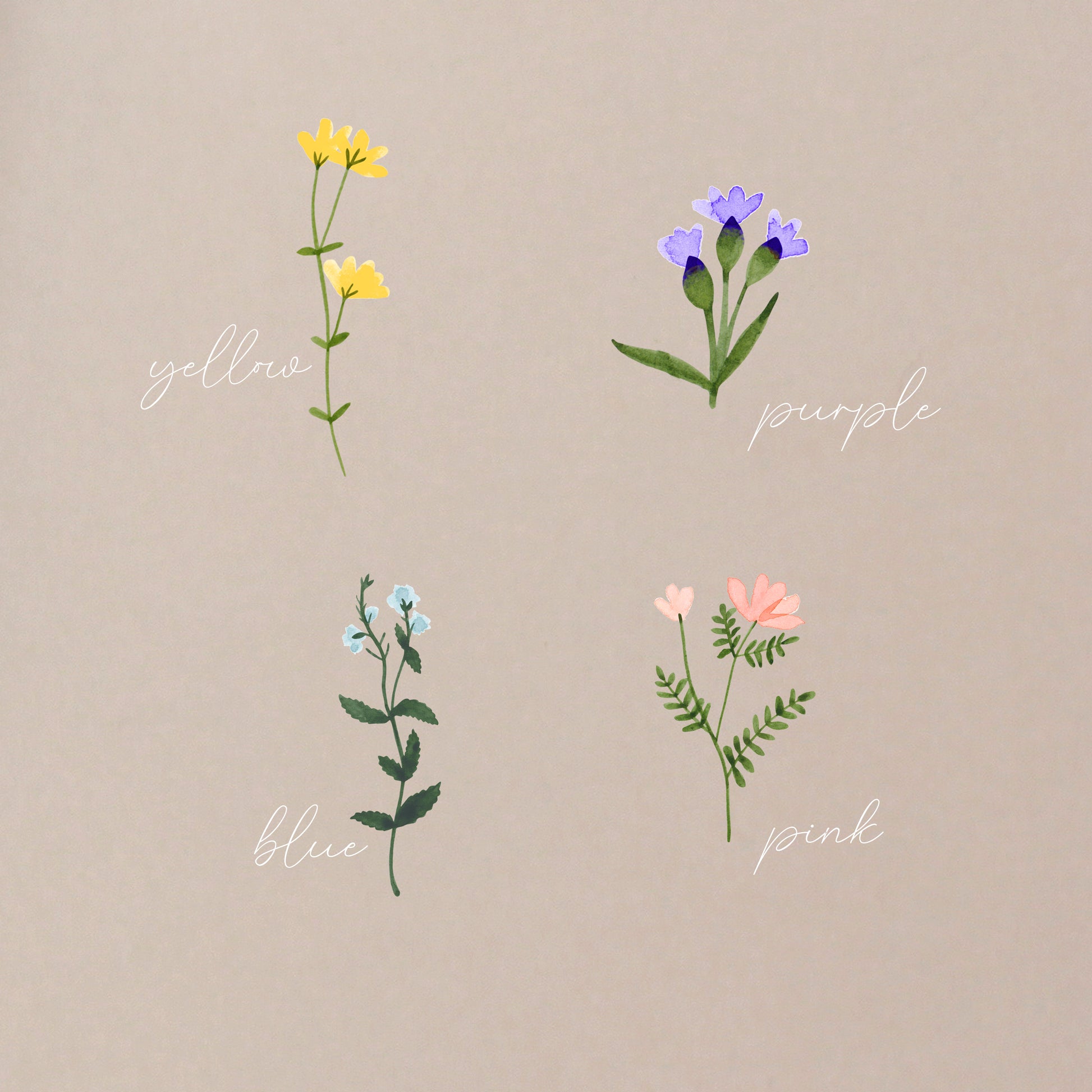 sample of flowers in yellow, purple, blue and pink