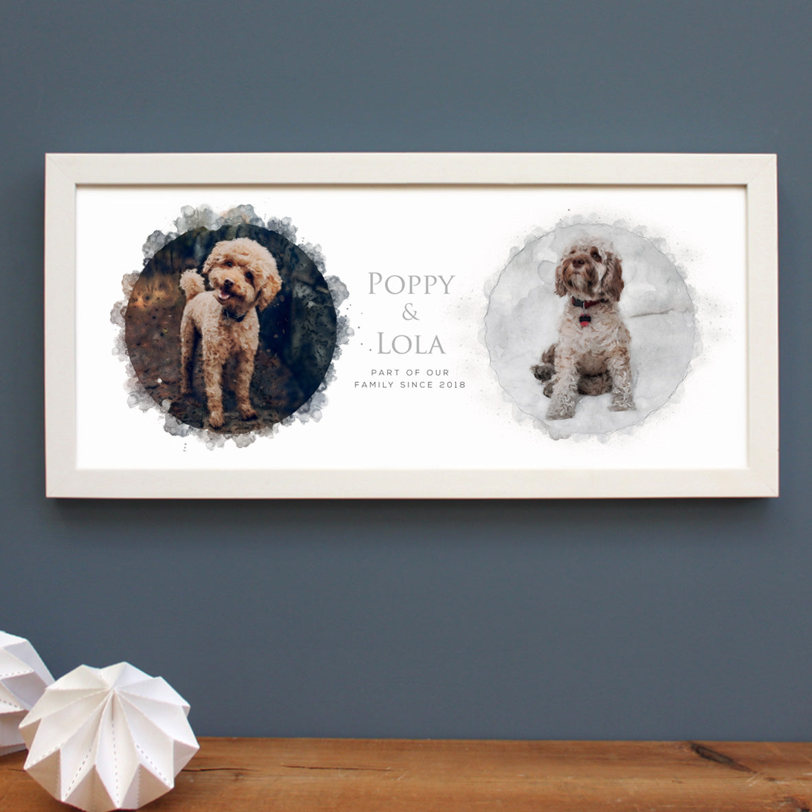 cockerpoo and labradoodle two dog illustrations in a white frame